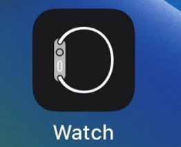 ikona aplikace watch