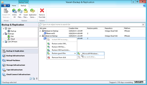 Náhled portálu pro variantu Vzdálené úložiště pro zákazníky Veeam (náhled z prostředí SW zákazníka)