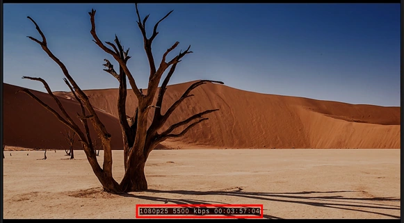 Obrázek kanálu 777 Afrika, na kterém jsou technické specifikace videa „1080p25 5500 kbps“