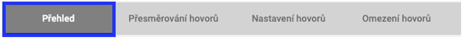 záložka přehled