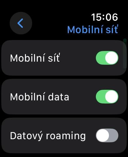nastavení - vypnutý roaming