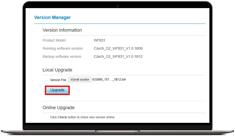 Version manager upgrade
