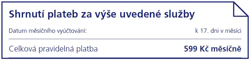 Shrnutí plateb