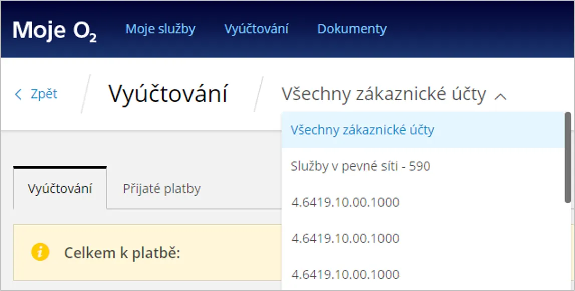 obrázek všech zákaznických účtů