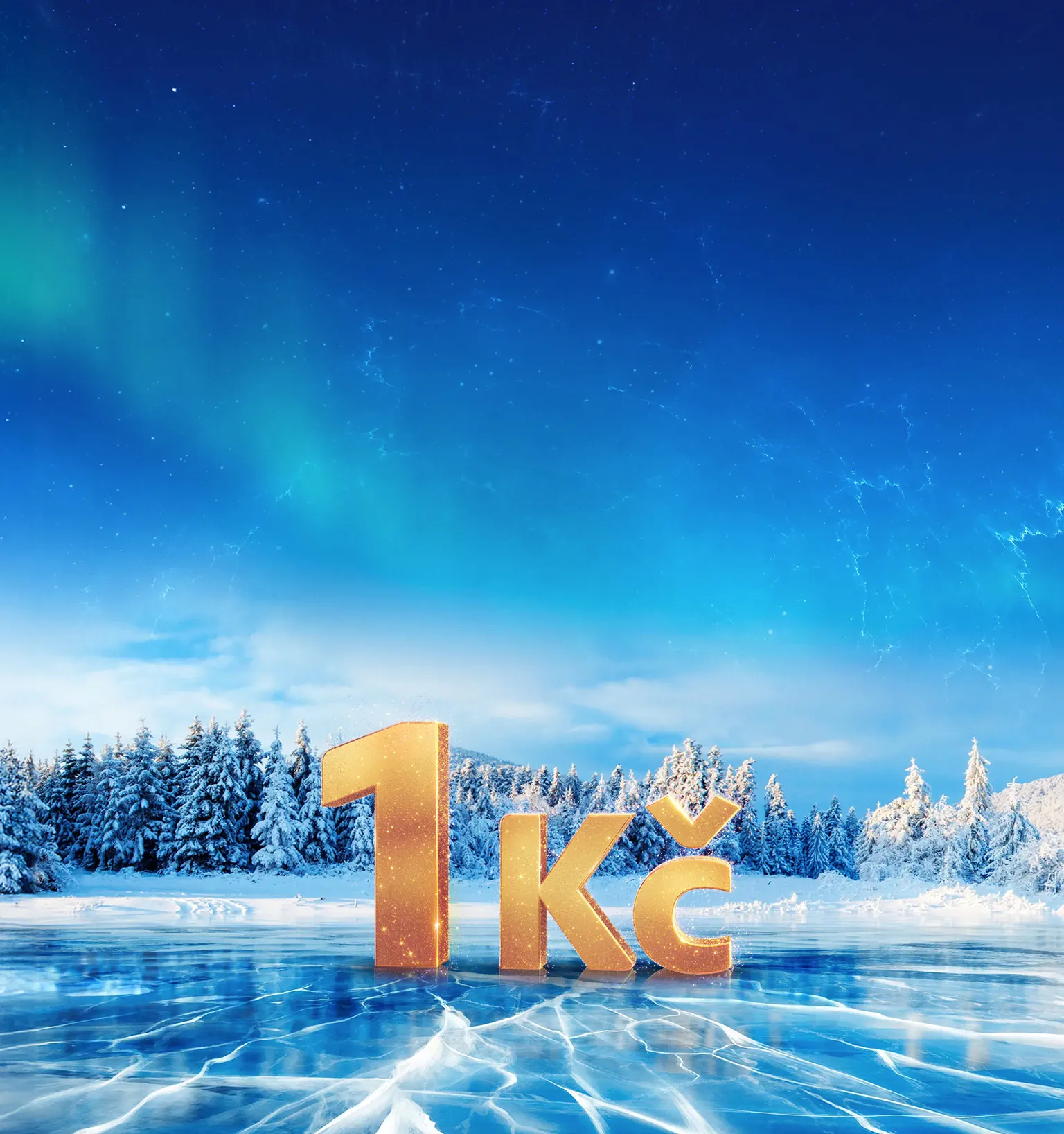 Komu uděláte radost na Vánoce za 1 Kč?