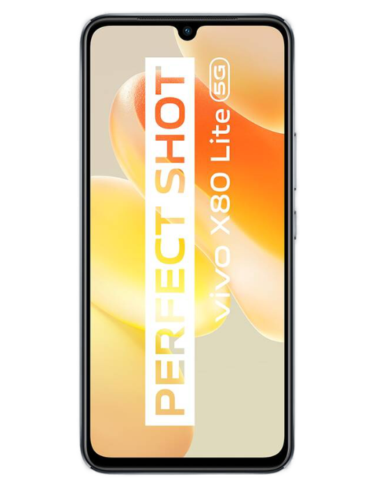 vivo X80