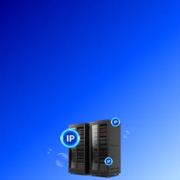 Server is IP adresama kolem