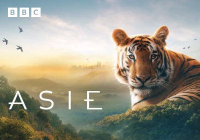 Britský televizní seriál Asie TV kanálu BBC na Oneplay