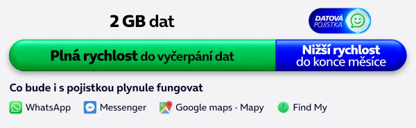 Zobrazení datové pojistky
