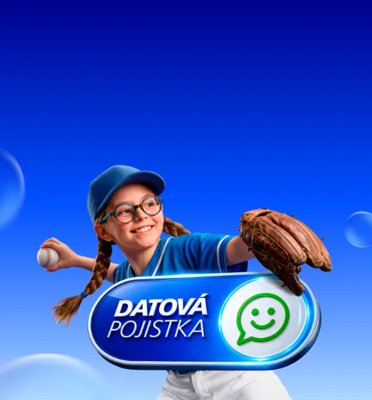 Datová pojistka