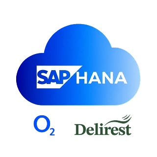 Aplikace Hana v prostředí SAP