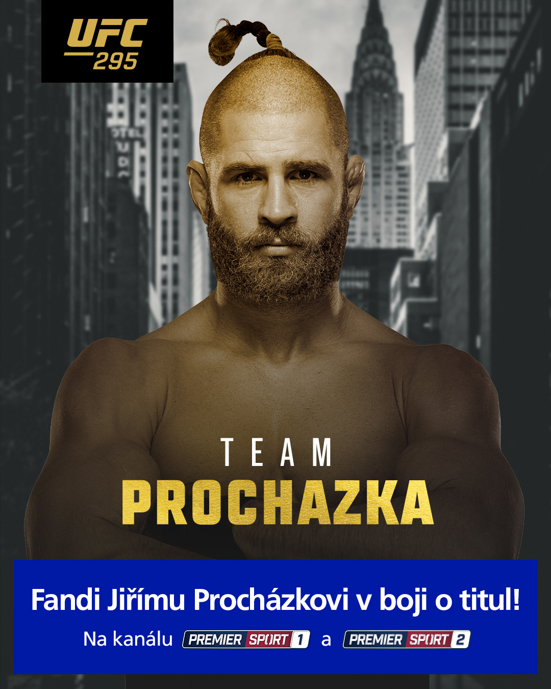 Procházka - UFC 295
